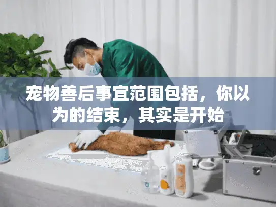 宠物善后事宜范围包括，你以为的结束，其实是开始