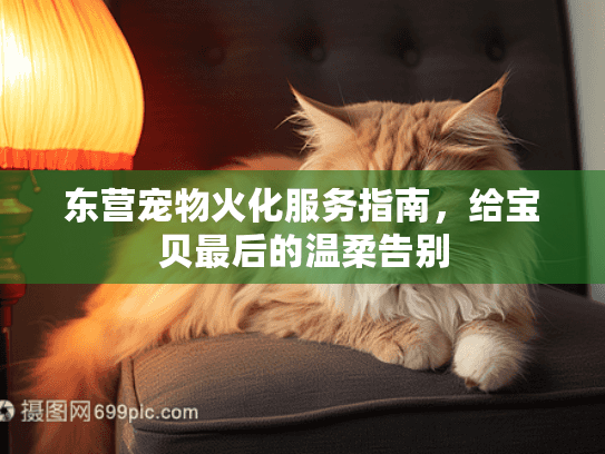 东营宠物火化服务指南，给宝贝最后的温柔告别