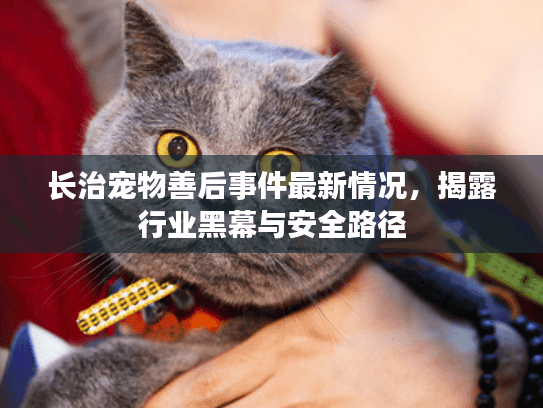 长治宠物善后事件最新情况，揭露行业黑幕与安全路径