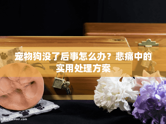 宠物狗没了后事怎么办?悲痛中的实用处理方案 宠物狗没了后事怎么办?悲痛中的实用处理方案