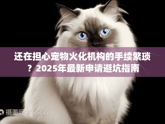 还在担心宠物火化机构的手续繁琐？2025年最新申请避坑指南