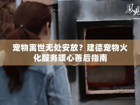 宠物离世无处安放？建德宠物火化服务暖心善后指南