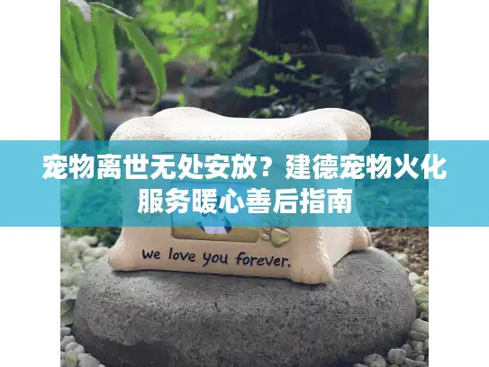 宠物离世无处安放？建德宠物火化服务暖心善后指南