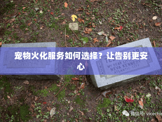 宠物火化服务如何选择？让告别更安心