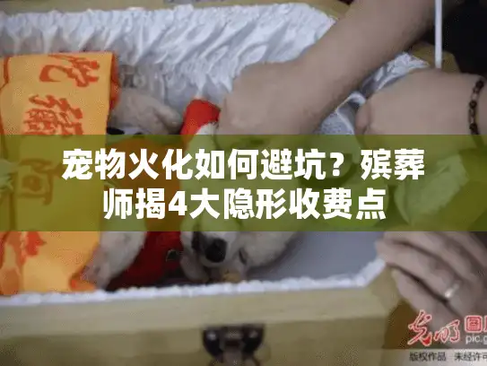 宠物火化如何避坑?殡葬师揭4大隐形收费点 宠物火化如何避坑?殡葬师揭4大隐形收费点