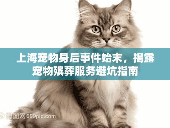 上海宠物身后事件始末，揭露宠物殡葬服务避坑指南