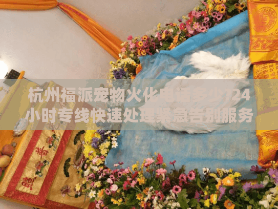 杭州福派宠物火化电话多少?24小时专线快速处理紧急告别服务