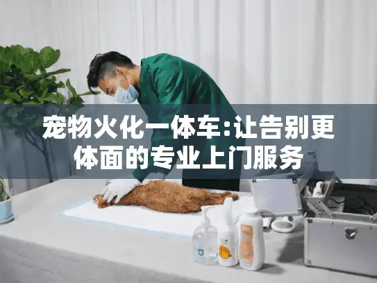 宠物火化一体车:让告别更体面的专业上门服务