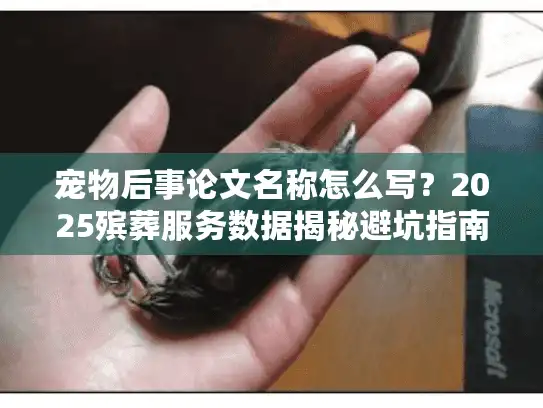 宠物后事论文名称怎么写？2025殡葬服务数据揭秘避坑指南