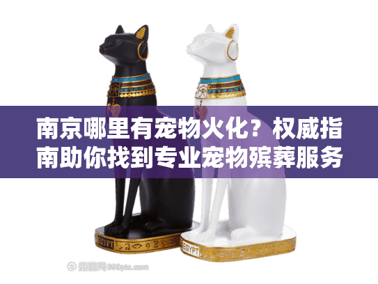 南京哪里有宠物火化？权威指南助你找到专业宠物殡葬服务