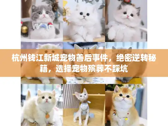 杭州钱江新城宠物善后事件，绝密逆转秘籍，选择宠物殡葬不踩坑