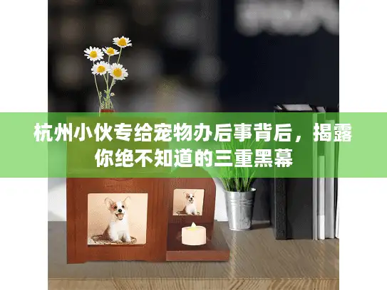 杭州小伙专给宠物办后事背后,揭露你绝不知道的三重黑幕 杭州小伙专给宠物办后事背后,揭露你绝不知道的三重黑幕