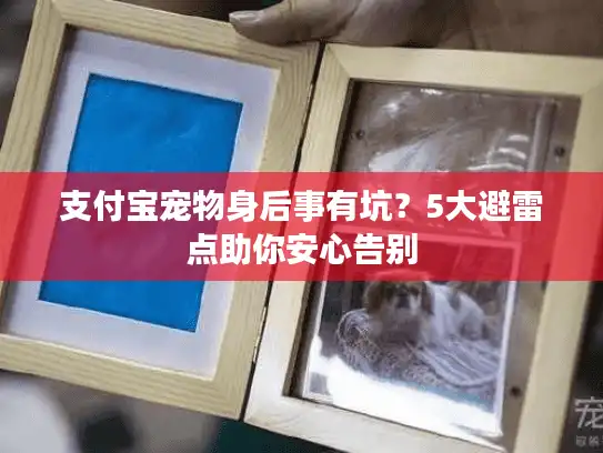 支付宝宠物身后事有坑？5大避雷点助你安心告别