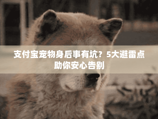 支付宝宠物身后事有坑？5大避雷点助你安心告别