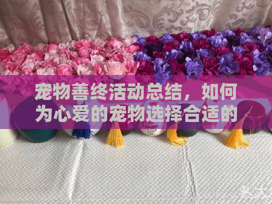 宠物善终活动总结,如何为心爱的宠物选择合适的完美善终服务? 宠物善终活动总结,如何为心爱的宠物选择合适的完美善终服务?