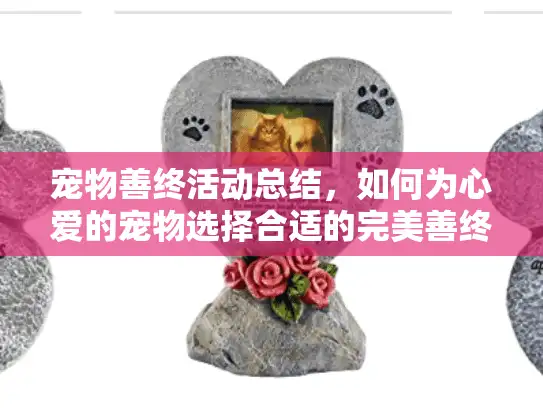 宠物善终活动总结,如何为心爱的宠物选择合适的完美善终服务? 宠物善终活动总结,如何为心爱的宠物选择合适的完美善终服务?