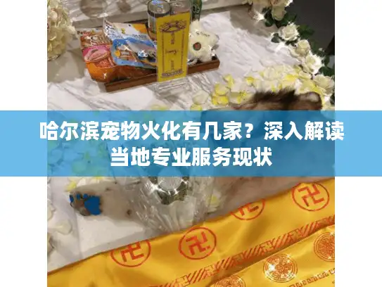 哈尔滨宠物火化有几家？深入解读当地专业服务现状