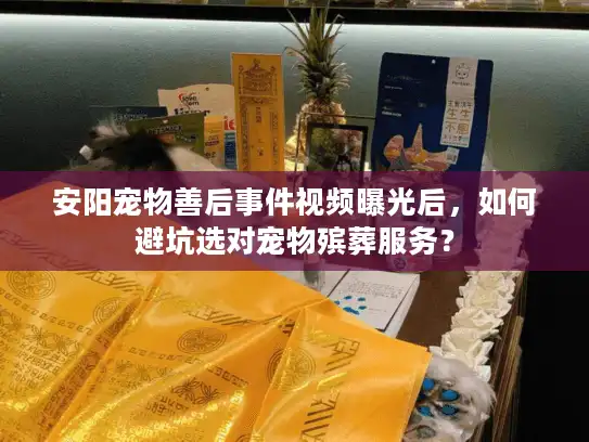 安阳宠物善后事件视频曝光后，如何避坑选对宠物殡葬服务？