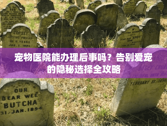 宠物医院能办理后事吗？告别爱宠的隐秘选择全攻略