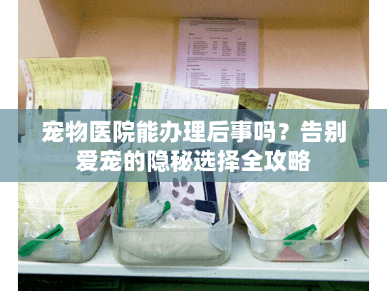 宠物医院能办理后事吗？告别爱宠的隐秘选择全攻略