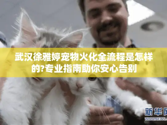 武汉徐雅婷宠物火化全流程是怎样的?专业指南助你安心告别