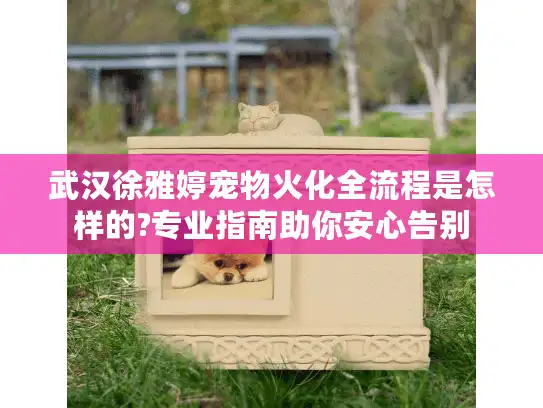 武汉徐雅婷宠物火化全流程是怎样的?专业指南助你安心告别