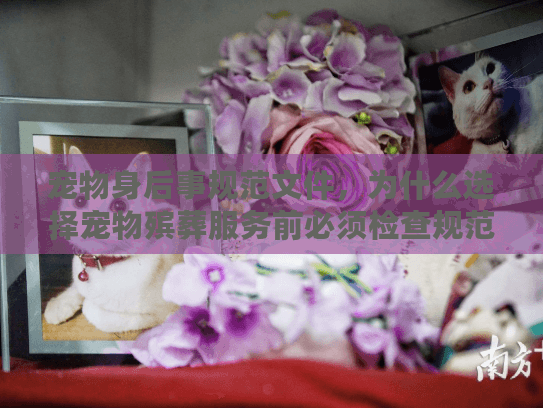 宠物身后事规范文件,为什么选择宠物殡葬服务前必须检查规范文件避免踩坑? 宠物身后事规范文件,为什么选择宠物殡葬服务前必须检查规范文件避免踩坑?