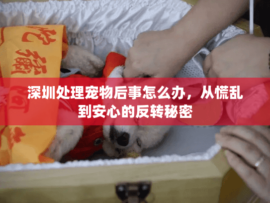 深圳处理宠物后事怎么办,从慌乱到安心的反转秘密 深圳处理宠物后事怎么办,从慌乱到安心的反转秘密
