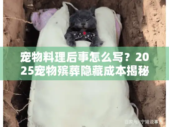 宠物料理后事怎么写？2025宠物殡葬隐藏成本揭秘