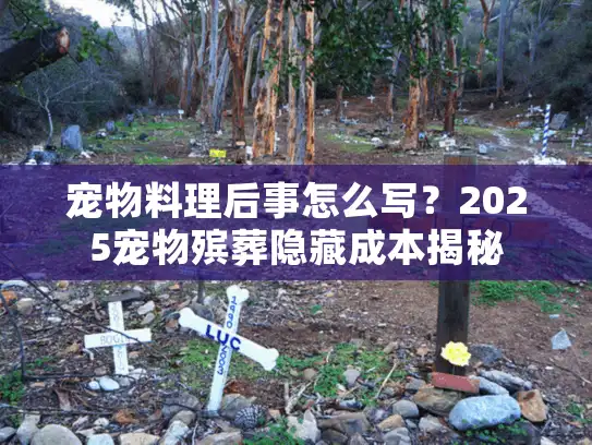 宠物料理后事怎么写？2025宠物殡葬隐藏成本揭秘