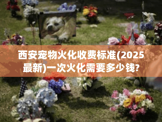 西安宠物火化收费标准(2025最新)一次火化需要多少钱?