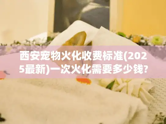 西安宠物火化收费标准(2025最新)一次火化需要多少钱?