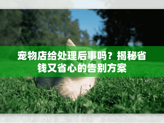 宠物店给处理后事吗？揭秘省钱又省心的告别方案