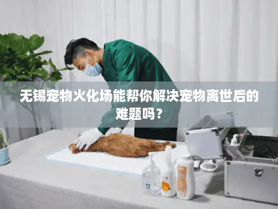 无锡宠物火化场能帮你解决宠物离世后的难题吗？