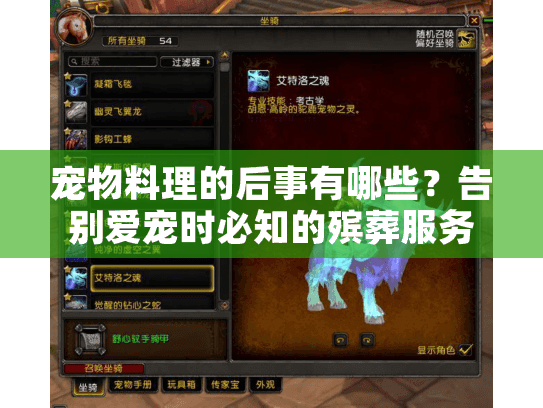 宠物料理的后事有哪些？告别爱宠时必知的殡葬服务选择深度指南