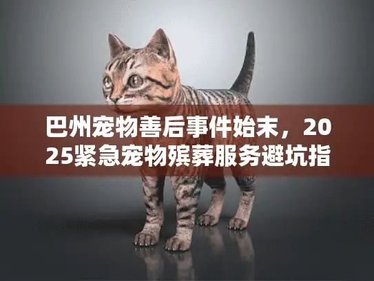 巴州宠物善后事件始末，2025紧急宠物殡葬服务避坑指南