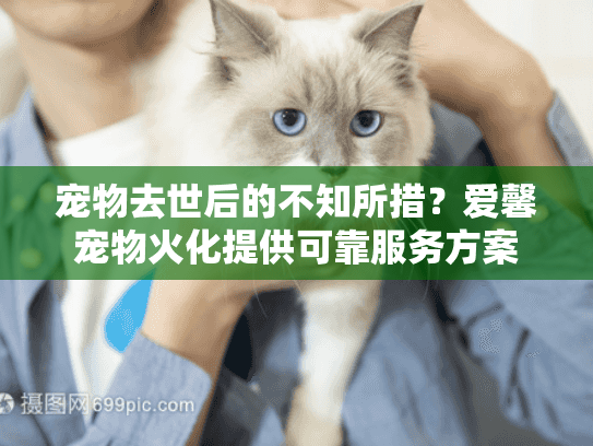 宠物去世后的不知所措？爱馨宠物火化提供可靠服务方案