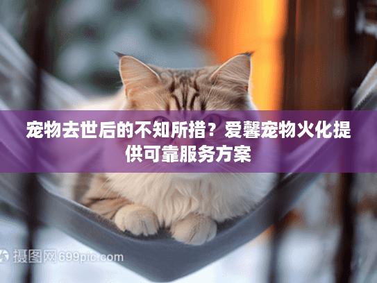宠物去世后的不知所措？爱馨宠物火化提供可靠服务方案