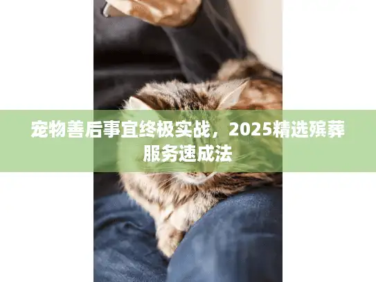 宠物善后事宜终极实战，2025精选殡葬服务速成法