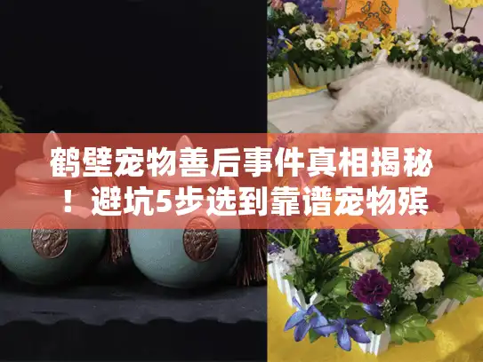 鹤壁宠物善后事件真相揭秘！避坑5步选到靠谱宠物殡葬（2025警示版）