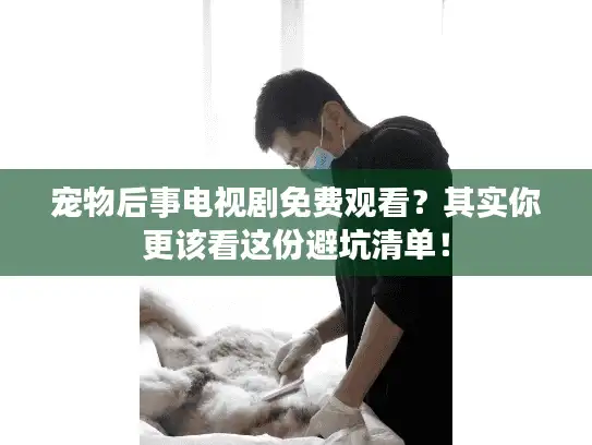 宠物后事电视剧免费观看?其实你更该看这份避坑清单! 宠物后事电视剧免费观看?其实你更该看这份避坑清单!
