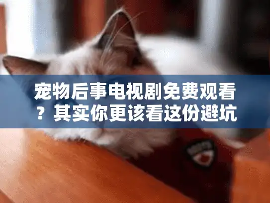 宠物后事电视剧免费观看?其实你更该看这份避坑清单! 宠物后事电视剧免费观看?其实你更该看这份避坑清单!