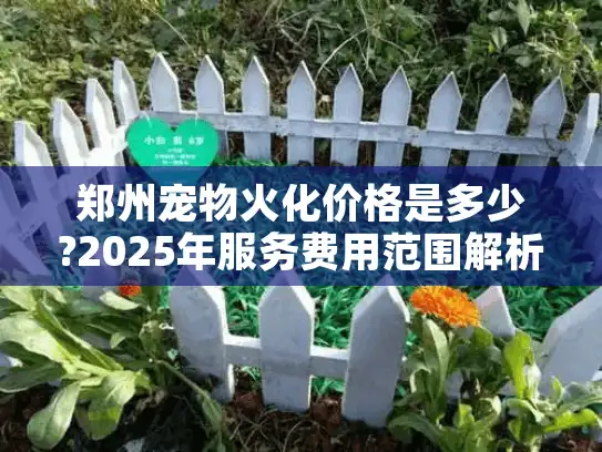 郑州宠物火化价格是多少?2025年服务费用范围解析