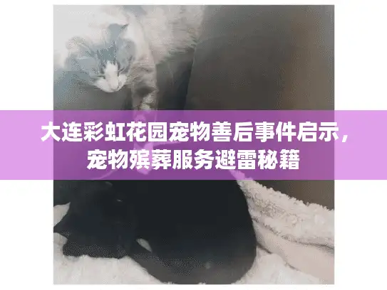 大连彩虹花园宠物善后事件启示,宠物殡葬服务避雷秘籍 大连彩虹花园宠物善后事件启示,宠物殡葬服务避雷秘籍