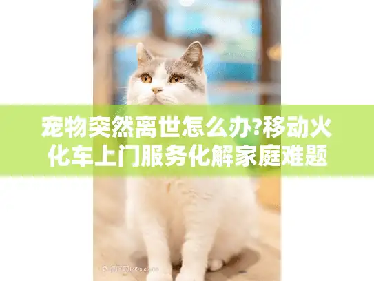 宠物突然离世怎么办?移动火化车上门服务化解家庭难题 宠物突然离世怎么办?移动火化车上门服务化解家庭难题