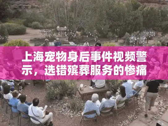 上海宠物身后事件视频警示，选错殡葬服务的惨痛教训揭秘