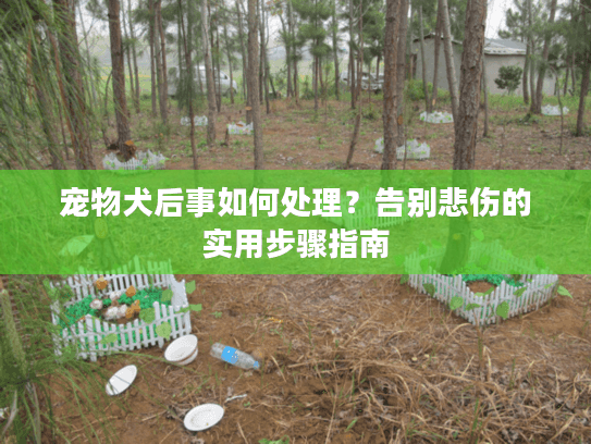 宠物犬后事如何处理？告别悲伤的实用步骤指南