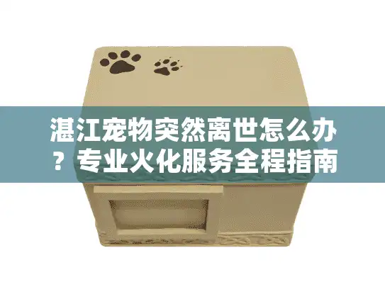湛江宠物突然离世怎么办？专业火化服务全程指南