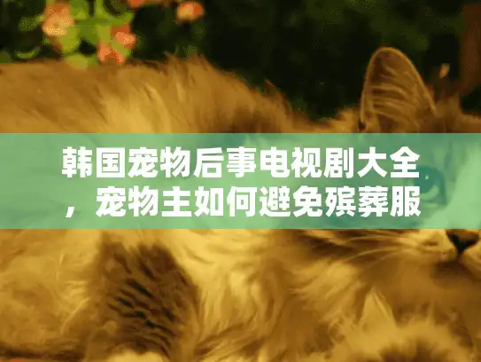 韩国宠物后事电视剧大全,宠物主如何避免殡葬服务坑爹陷阱? 韩国宠物后事电视剧大全,宠物主如何避免殡葬服务坑爹陷阱?