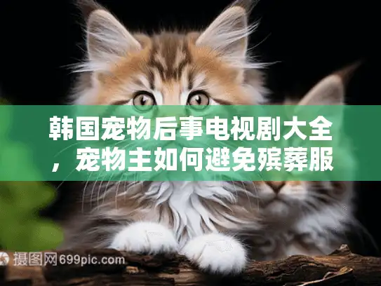 韩国宠物后事电视剧大全,宠物主如何避免殡葬服务坑爹陷阱? 韩国宠物后事电视剧大全,宠物主如何避免殡葬服务坑爹陷阱?